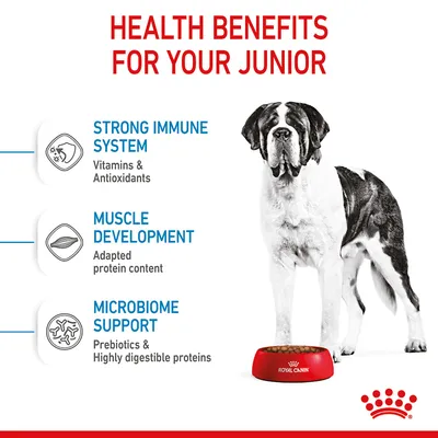 Health benefits for junior pets: strong immune system with vitamins and antioxidants, muscle development with adapted protein content, microbiome support with prebiotics and digestible proteins.