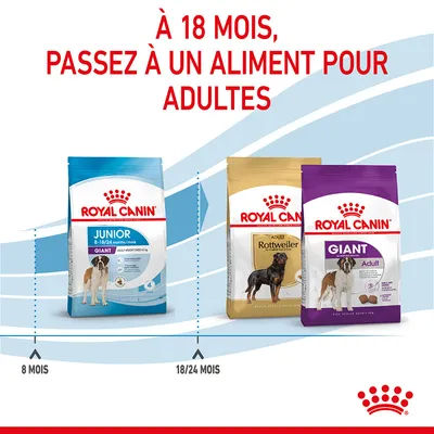 À 18 mois, passez à un aliment pour adultes. Sacs Royal Canin Junior Giant 8–18/24 mois, Adult Rottweiler et Giant Adult. Repères : 8 mois, 18/24 mois.