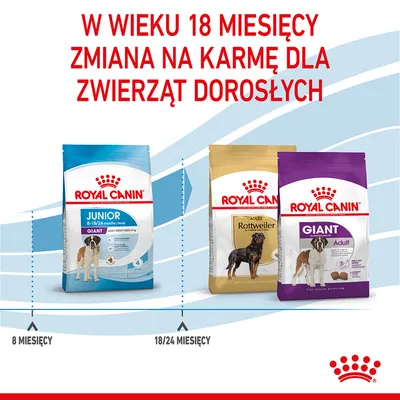 Royal Canin Junior Giant 8–18/24 miesięcy, Royal Canin Adult Rottweiler, Royal Canin Giant Adult; informacja: w wieku 18 miesięcy zmiana na karmę dla zwierząt dorosłych.
