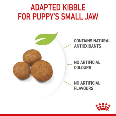 Adapted kibble for small jaws. Contains natural antioxidants, no artificial colours, and no artificial flavours.