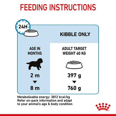 Feeding instructions: for age 2 to 8 months, with adult target weight 60 kg, feed 397 g to 760 g kibble daily. Metabolisable energy: 3812 kcal/kg. Adjust based on age and body condition.