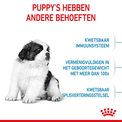 Puppy's hebben andere behoeften: kwetsbaar immuunsysteem, vermenigvuldigen in het geboortegewicht met meer dan 100x, kwetsbaar spijsverteringsstelsel.