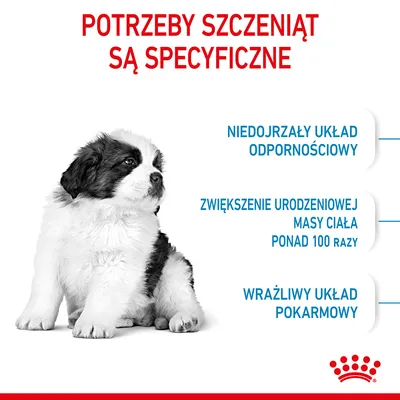 Potrzeby szczeniąt są specyficzne: niedojrzały układ odpornościowy, zwiększenie urodzeniowej masy ciała ponad 100 razy, wrażliwy układ pokarmowy.