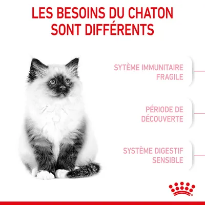 Les besoins du chaton sont différents : système immunitaire fragile, période de découverte, système digestif sensible. Marque Royal Canin visible en bas à droite.