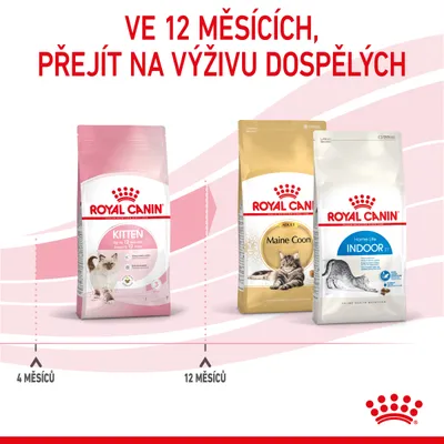 Royal Canin Kitten do 12 měsíců, poté přejít na Royal Canin Maine Coon nebo Royal Canin Home Life Indoor. Text: Ve 12 měsících, přejít na výživu dospělých.