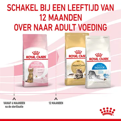Schakel bij een leeftijd van 12 maanden over naar adult voeding. Royal Canin Kitten Sterilised 6–12 maanden, Maine Coon Adult, Home Life Indoor 27. Vanaf 6 maanden na de sterilisatie.