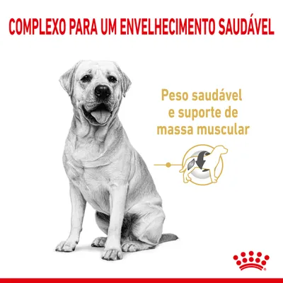 COMPLEXO PARA UM ENVELHECIMENTO SAUDÁVEL. Peso saudável e suporte de massa muscular. Imagem de cão com ícone ilustrativo e logótipo Royal Canin.