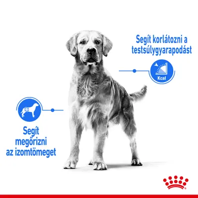 Kutyás illusztráció, szöveggel: Segít megőrizni az izomtömeget; Segít korlátozni a testsúlygyarapodást. Royal Canin logó alul.