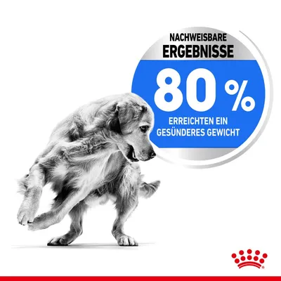 Nachweisbare Ergebnisse: 80% erreichten ein gesünderes Gewicht. Royal Canin Logo unten rechts.