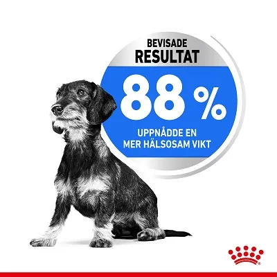 Text: BEVISADE RESULTAT 88 % UPPNÅDDE EN MER HÄLSOSAM VIKT. Bild på hund och Royal Canin-symbol längst ner.