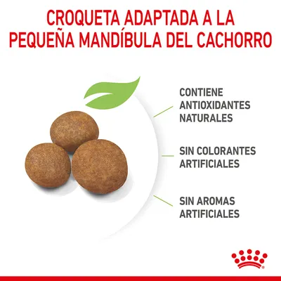 Croqueta adaptada a la pequeña mandíbula del cachorro. Contiene antioxidantes naturales, sin colorantes artificiales, sin aromas artificiales. Tres croquetas marrones visibles.