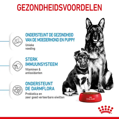 Gezondheidsvoordelen: ondersteunt de gezondheid van de moederhond en puppy, sterk immuunsysteem, ondersteunt de darmflora. Royal Canin voerbak zichtbaar.