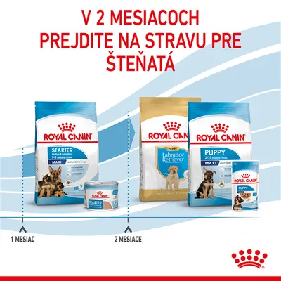 V 2 mesiacoch prejdite na stravu pre šteňatá. Royal Canin Starter 1–2 mesiace, Royal Canin Puppy a Labrador Retriever Puppy od 2 mesiacov. Zobrazené balenia suchého a mokrého krmiva.