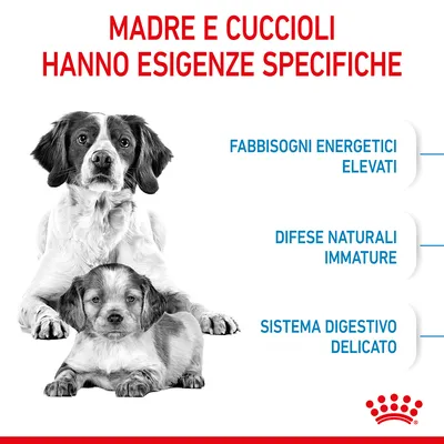 Testo: Madre e cuccioli hanno esigenze specifiche. Fabbisogni energetici elevati, difese naturali immature, sistema digestivo delicato. Marchio Royal Canin visibile.