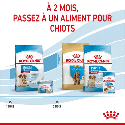 Conseil visible : à 2 mois, passez à un aliment pour chiots. Sacs et boîtes Royal Canin Starter 1–2 mois, Puppy Cocker et Puppy Medium 2–12 mois affichés.