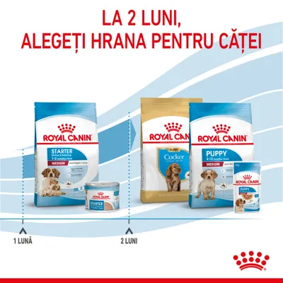 La 2 luni, alegeți hrana pentru căței. Royal Canin Starter 1–2 luni, Royal Canin Puppy Cocker și Medium 2–12 luni, pachete și conserve vizibile. Interval: 1 lună – 2 luni.