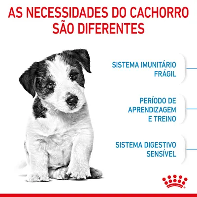 As necessidades do cachorro são diferentes: sistema imunitário frágil, período de aprendizagem e treino, sistema digestivo sensível. Royal Canin.