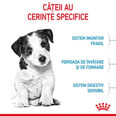 CĂȚEII AU CERINȚE SPECIFICE: sistem imunitar fragil, perioada de învățare și de formare, sistem digestiv sensibil. Siglă Royal Canin jos dreapta.