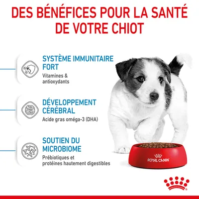 Des bénéfices pour la santé de votre chiot : système immunitaire fort, développement cérébral, soutien du microbiome. Royal Canin. Vitamines, antioxydants, oméga-3 (DHA), prébiotiques.