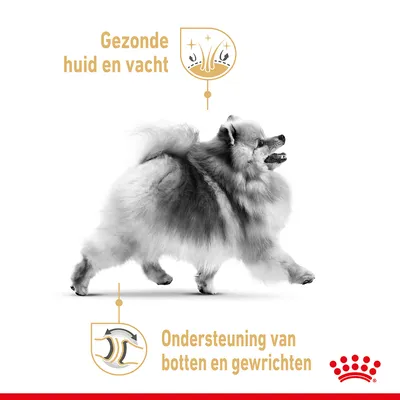 Gezonde huid en vacht. Ondersteuning van botten en gewrichten. Afbeelding van een hond met Royal Canin kroon symbool.
