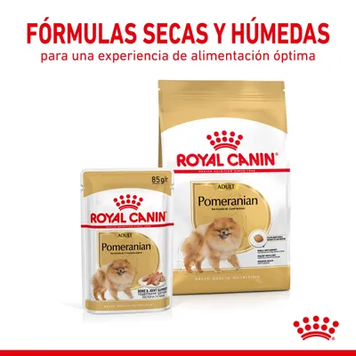 Royal Canin Adult Pomeranian, fórmulas secas y húmedas para perros. Texto visible: 'FÓRMULAS SECAS Y HÚMEDAS para una experiencia de alimentación óptima'.
