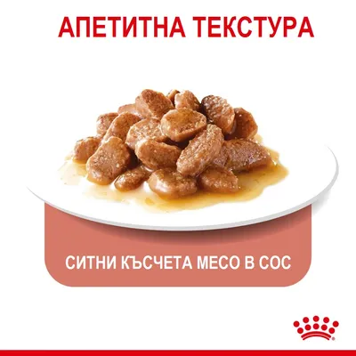 Апетитна текстура. Ситни късчета месо в сос, сервирани в бяла чиния. Видимо лого на Royal Canin.