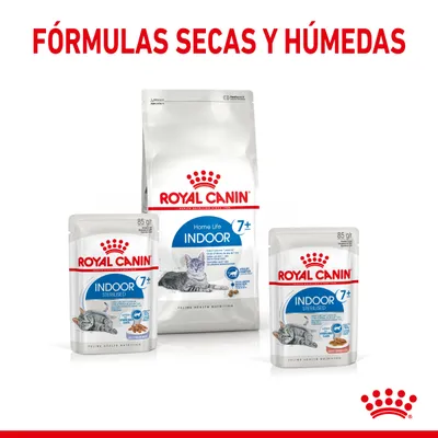 Royal Canin Indoor 7+ para gatos, fórmulas secas y húmedas. Imagen de envases con texto visible: Home Life Indoor 7+, Sterilised, Feline Health Nutrition, 85 g.