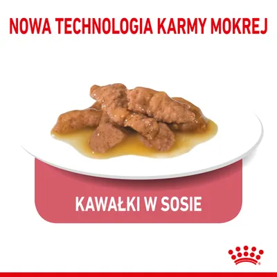 Nowa technologia karmy mokrej. Kawałki w sosie na białym talerzu.