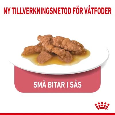 Ny tillverkningsmetod för våtfoder. Små bitar i sås visas på en tallrik. Royal Canin-varumärke synligt längst ner.