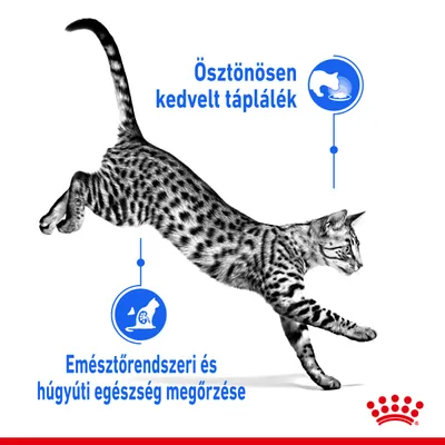 Ösztönösen kedvelt táplálék. Emésztőrendszeri és húgyúti egészség megőrzése. Ugró macska, Royal Canin logóval.