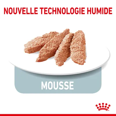 Nouvelle technologie humide, mousse. Quatre portions de mousse sur une assiette blanche, texte visible : MOUSSE. Logo Royal Canin en bas à droite.