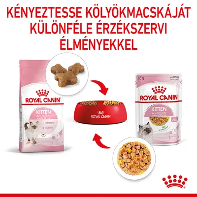Royal Canin Kitten száraz és nedves eledel kölyökmacskáknak, tálban tálalva. Felirat: Kényeztesse kölyökmacskáját különféle érzékszervi élményekkel.