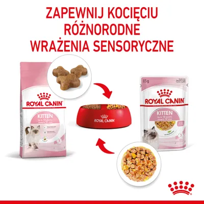Royal Canin Kitten sucha i mokra karma dla kociąt do 12 miesięcy, opakowania 85 g i większe, miska z karmą, tekst: Zapewnij kocięciu różnorodne wrażenia sensoryczne.