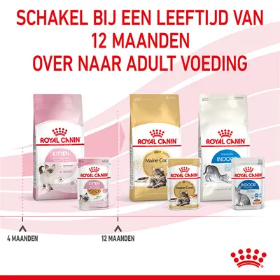 Schakel bij een leeftijd van 12 maanden over naar adult voeding. Royal Canin kitten- en adult kattenvoer, verpakkingen voor 4 en 12 maanden getoond.