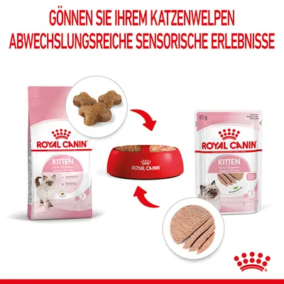 Royal Canin Kitten bis 12 Monate. Trocken- und Nassfutter für Katzenwelpen, abwechselnde sensorische Erlebnisse. Verpackungen und Futterschale mit Produktabbildungen sichtbar.