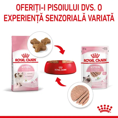 Royal Canin Kitten până la 12 luni, hrană uscată și umedă pentru pisoi, pachet 85 g și bol roșu. Text: Oferiți-i pisoiului dvs. o experiență senzorială variată.