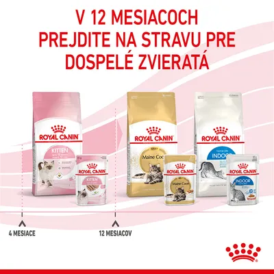 V 12 mesiacoch prejdite na stravu pre dospelé zvieratá. Royal Canin Kitten do 12 mesiacov, od 12 mesiacov Royal Canin Maine Coon Adult a Indoor. Zobrazené balenia suchého a mokrého krmiva.