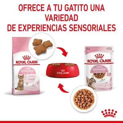 ROYAL CANIN Kitten Sterilised 6-12 months pienso y alimento húmedo, envases de 85 g y bolsa grande, cuenco rojo con comida, texto: Ofrece a tu gatito una variedad de experiencias sensoriales.