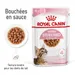 Royal Canin Sterilised Kitten en sauce pour chaton