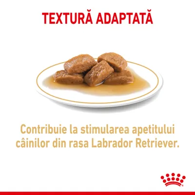 TEXTURĂ ADAPTATĂ. Contribuie la stimularea apetitului câinilor din rasa Labrador Retriever. Farfurie cu bucăți de hrană umedă în sos.
