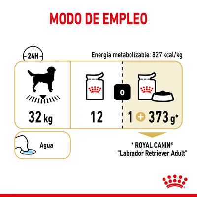 Modo de empleo: perro de 32 kg, energía metabolizable 827 kcal/kg. Opción 1: 12 latas. Opción 2: 1 lata más 373 g de pienso. Agua. Royal Canin Labrador Retriever Adult.