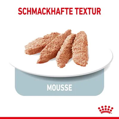Schmackhafte Textur. Mousse auf weissem Teller, präsentiert als Produktbeschreibung.