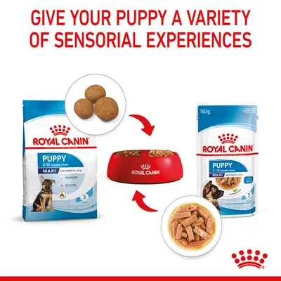 Image shows Royal Canin Puppy Maxi dry and wet food with feeding bowl, highlighting variety of sensorial experiences for puppies aged 2-15 months. Includes kibble and wet food textures.