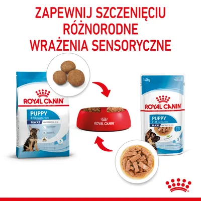 ROYAL CANIN Puppy Maxi 2–15 months, karma sucha i mokra, opakowania oraz miska z karmą. Napis: Zapewnij szczeniakowi różnorodne wrażenia sensoryczne.