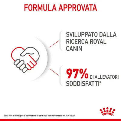 Formula approvata. Sviluppato dalla ricerca Royal Canin. 97% di allevatori soddisfatti. Nota: indagine condotta nel 2020 e 2021.