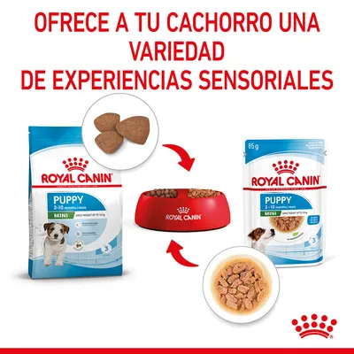 ROYAL CANIN PUPPY MINI 2–10 months pienso seco y húmedo, croquetas y comida en salsa. Texto: OFRECE A TU CACHORRO UNA VARIEDAD DE EXPERIENCIAS SENSORIALES.