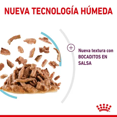 Nueva tecnología húmeda. Nueva textura con bocaditos en salsa. Imagen de trozos de comida húmeda para mascotas en salsa.