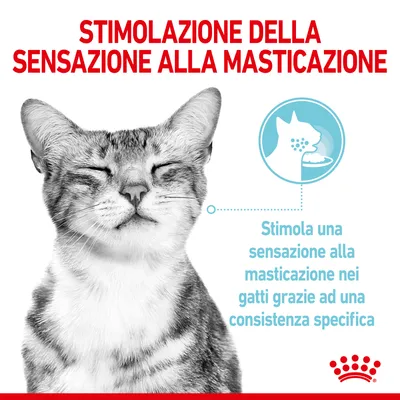 Stimolazione della sensazione alla masticazione. Stimola una sensazione alla masticazione nei gatti grazie ad una consistenza specifica.
