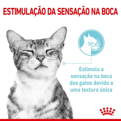 Texto: ESTIMULAÇÃO DA SENSAÇÃO NA BOCA. Estimula a sensação na boca dos gatos devido a uma textura única. Imagem de um gato e ícone ilustrativo de gato a comer.
