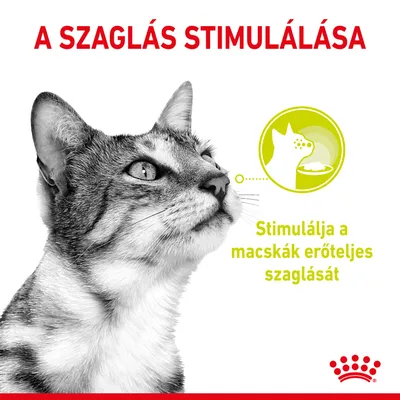 A SZAGLÁS STIMULÁLÁSA. Stimulálja a macskák erőteljes szaglását – felirat egy macska fotója mellett, Royal Canin logóval.